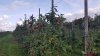 20180915_104833.jpg