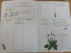 IMG_20180916_120327.jpg