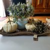 20180916_133026.jpg