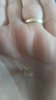 IMG_20180916_150110.jpg