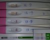 16_17-9_2.jpg
