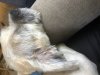 C0E4B79C-8464-4BED-B37C-91DE004694F1.jpeg