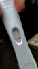 41EC5A9C-E50E-4098-B562-4E68C9C1788B.png