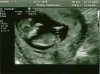 scan0001.jpg
