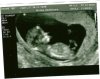 scan0002.jpg