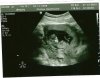 scan0003.jpg