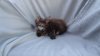 DSC09073.jpg