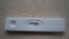 DSC01777.jpg