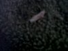 IMG-20130106-WA0001.jpg