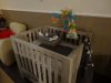 DSC00232.jpg