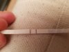 20180920_211036.jpg