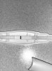 8334DF36-2565-490F-A779-098404AC3589.jpeg