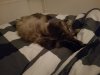 20180921_225231.jpg