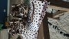 IMG-20180926-WA0004.jpeg