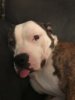 IMG-20180930-WA0000.jpg