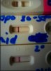 IMG_20181002_133544_904.jpg