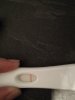 IMG_20181002_064421.jpg