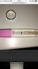 0F000598-5AD2-4A35-B0B1-414E6EE82168.png
