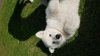 20181004_141313.jpg