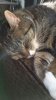 IMG-20181004-WA0007.jpg