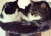 20180426_193258.jpg
