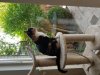 20180920_144534.jpg