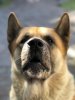 IMG-20180927-WA0000.jpg