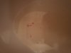 20181006_112914.jpg