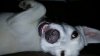20180115_181832.jpg