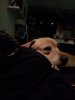 IMG_20181010_204200413_BURST003.jpg