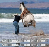 20181011_194856.png