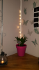 Screenshot_20181011-213322.png