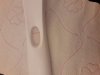 20181012_191254.jpg