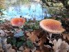 20181014_124420.jpg