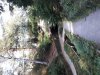 20181014_123936.jpg