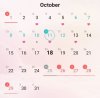 IMG_20181018_110603.jpg