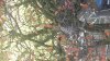 20181019_142505.jpg