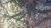 20181019_142523.jpg