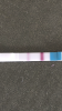 361D1C8E-9F78-430D-97D4-19BAC51A17E7.png