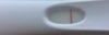 CAE3BF67-D65D-4C36-A428-F58EDFA79D59.jpeg