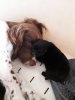 IMG-20181024-WA0001.jpg
