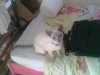 foto,s 548.jpg