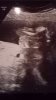 IMG-20181025-WA0000.jpeg