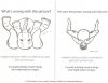 2NO_10zwangerschap_bevallen_elephant.jpg