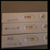 IMG_2018-04-09_19-44-04.JPG