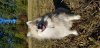 20181028_113217.jpg