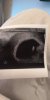 IMG-20181030-WA0002.jpeg