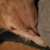 20181031_213208.jpg