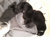 IMG-20181027-WA0009.jpg
