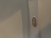 B1BB8AAD-DD27-49BF-B22E-665966AACFCA.jpeg